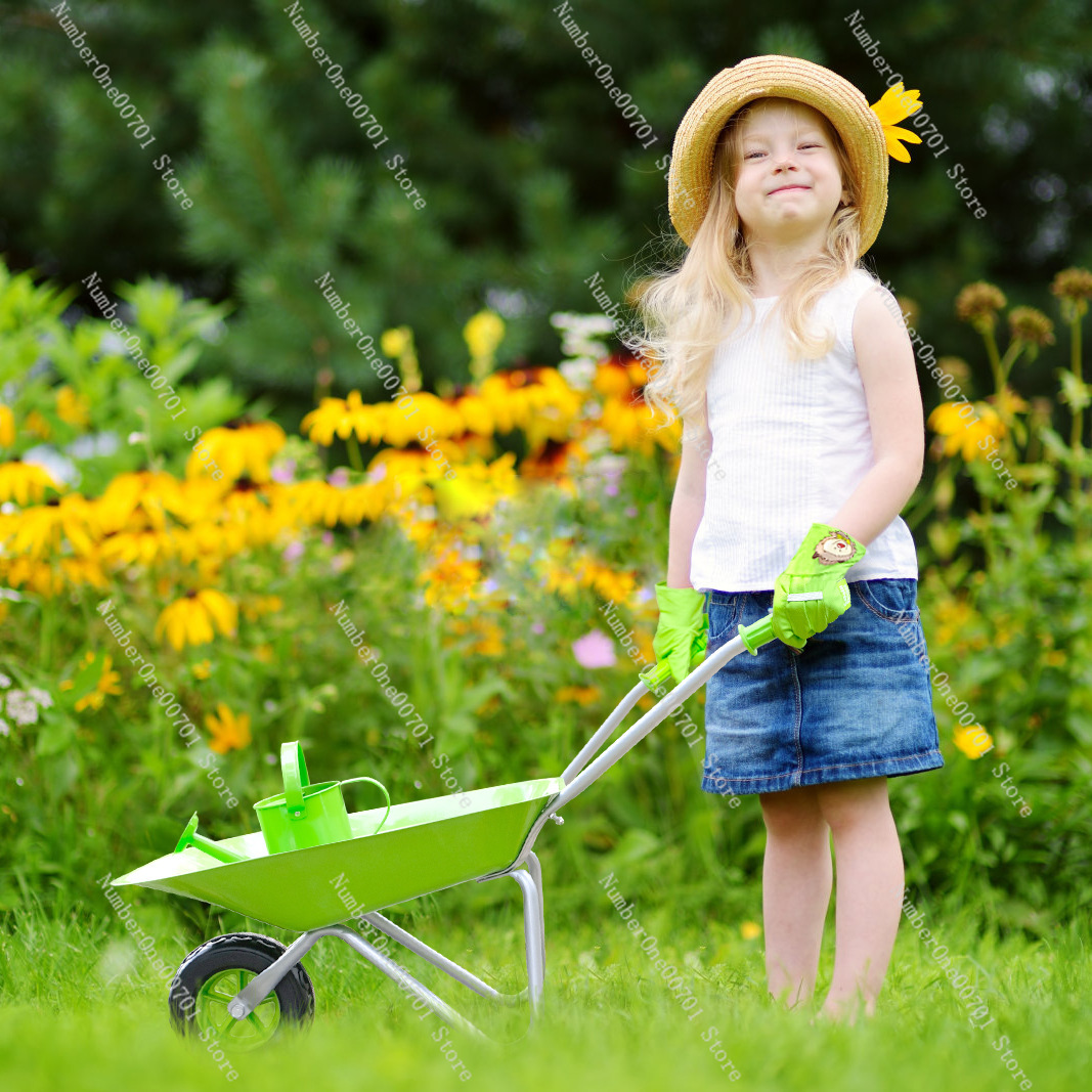 Kids Outdoor Wheelbarrow, Gree - مراجعة Kids Outdoor Activity Toys وسعره